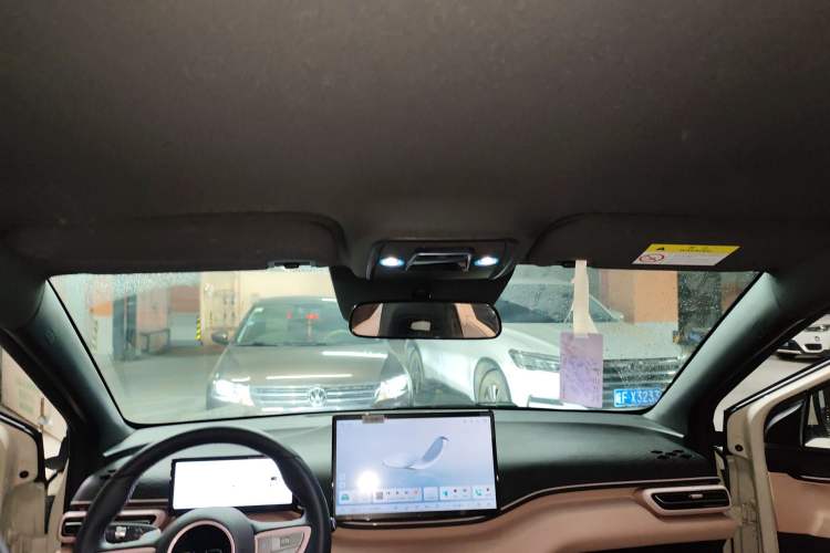 Used BYD Seagull 2025 Smart Drive Version 305 km Freedom Edition Headliner