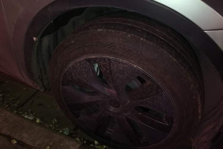 Used Tesla Model Y 2023 Rear-Wheel-Drive Version
