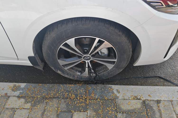 Used Nissan Sylphy 2023 1.6L CVT Enjoyment Edition