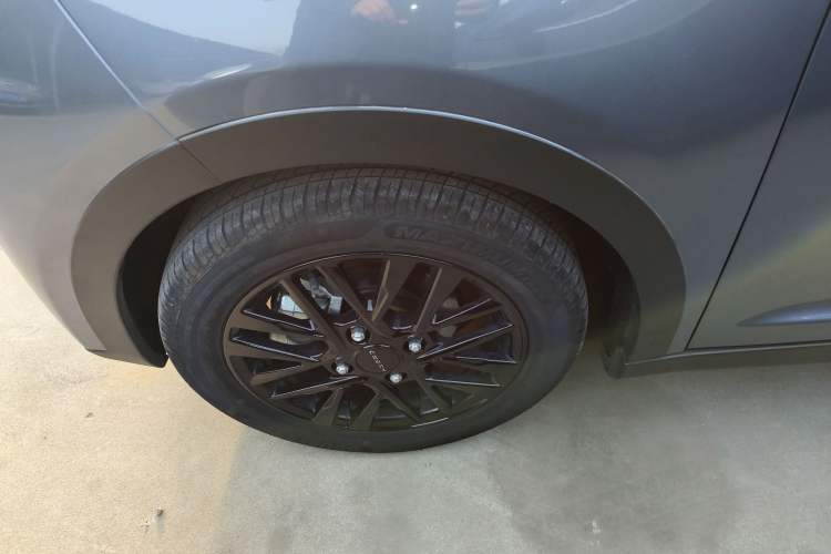 Used Chery Little Ant 2024 Edition Youth Version 251km True Love Edition 25.05 kWh