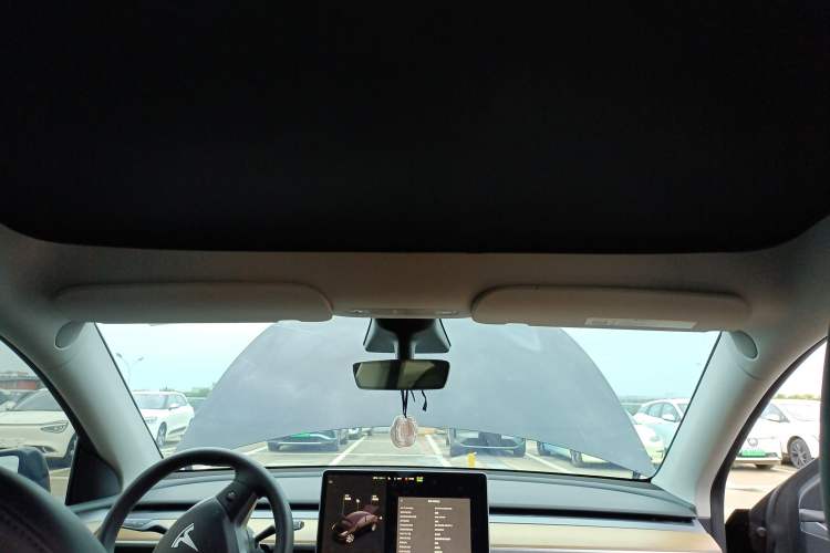 Used Tesla Model Y 2021 Standard Range Rear-Wheel Drive Version Headliner