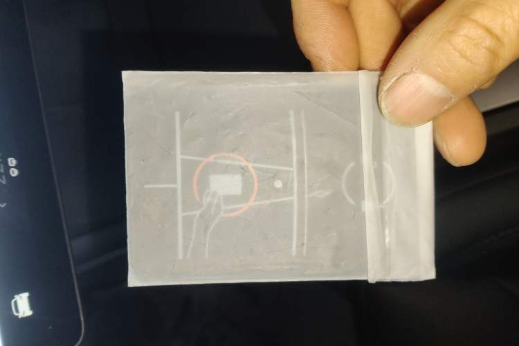 Used Tesla Model 3 2023 Rear-Wheel-Drive Version