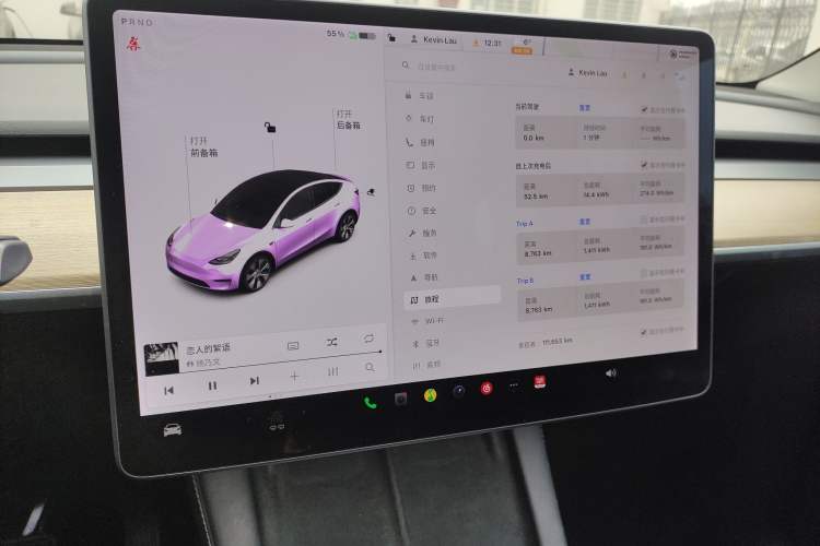 Used Tesla Model Y 2021 Standard Range Rear-Wheel Drive Version
