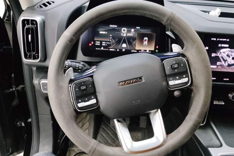 Used Haval DARGO 2024 2.0T DCT Chinese Rural Dog Edition
