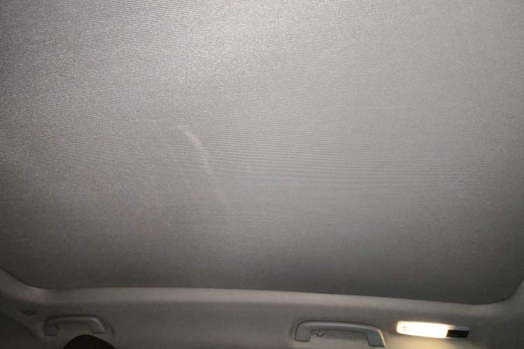 Used BMW X1 2018 sDrive20Li Leading Model Headliner