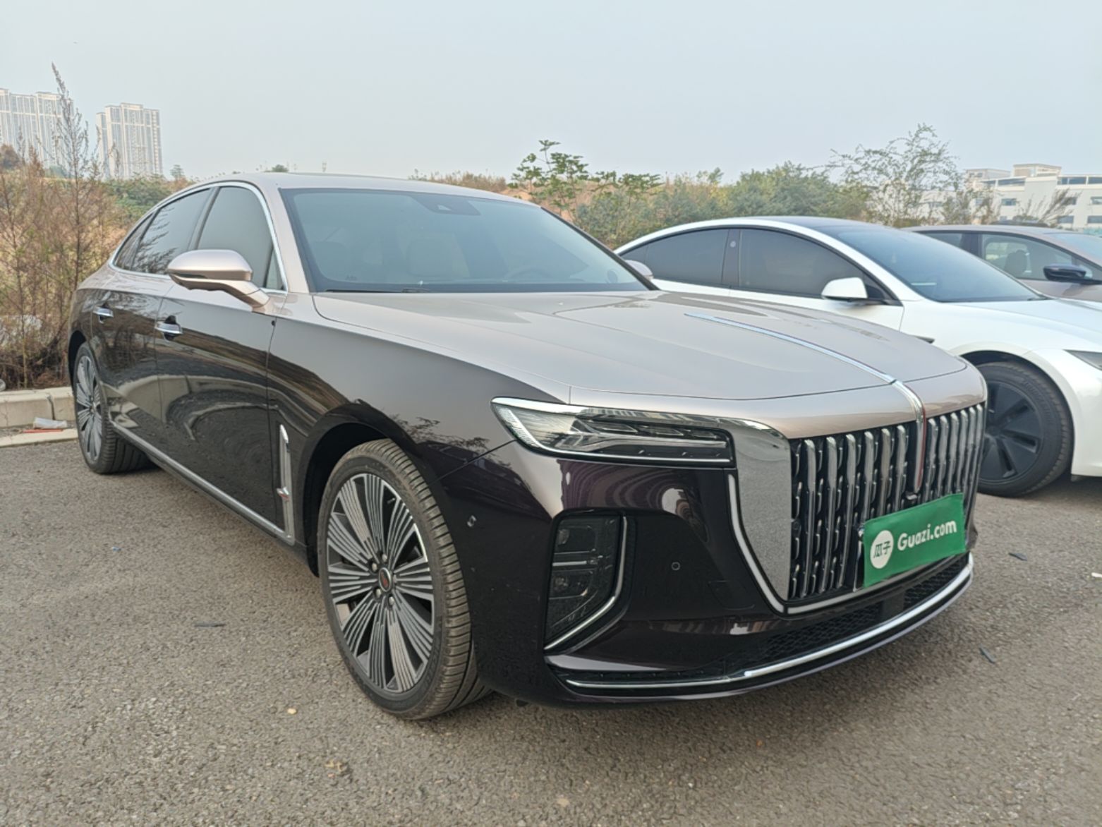 Hongqi H9 2025 2.0T Two-Wheel-Drive Flagship Luxury Business Edition 5 Seats — снимка 3