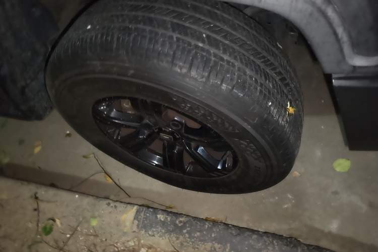 Used Tank 300 2021 Off-Road Edition 2.0T Conqueror