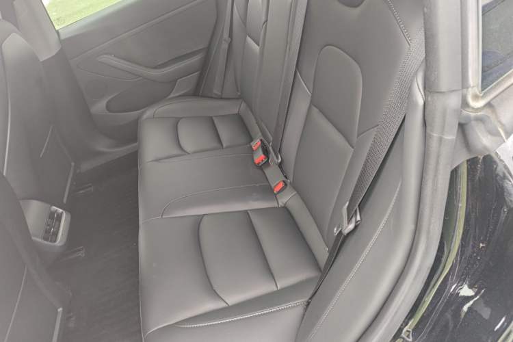 Used Tesla Model 3 2022 Rear-Wheel-Drive Version Left Rear Seat