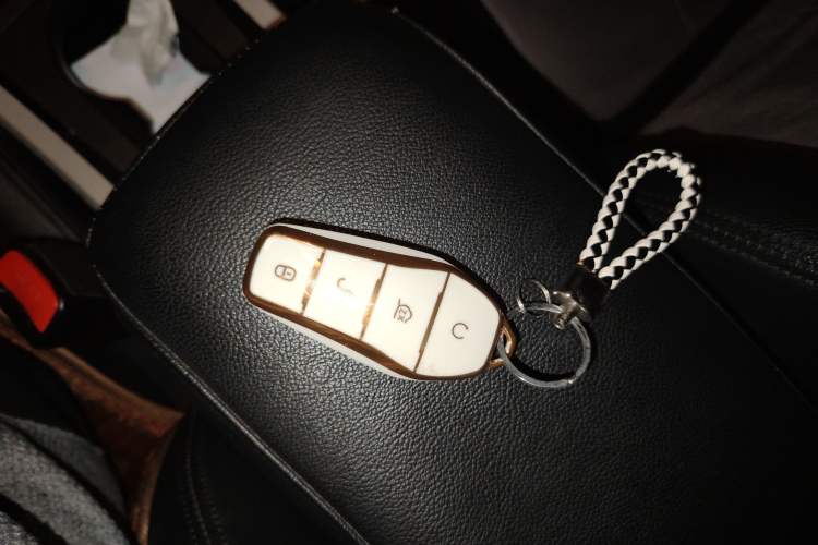 Used BYD Yuan Pro 2021 401 km Luxury Version
