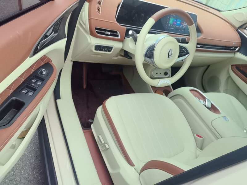 Used ORA Good Cat 2024 401 km Luxury Version 126 kW — 6
