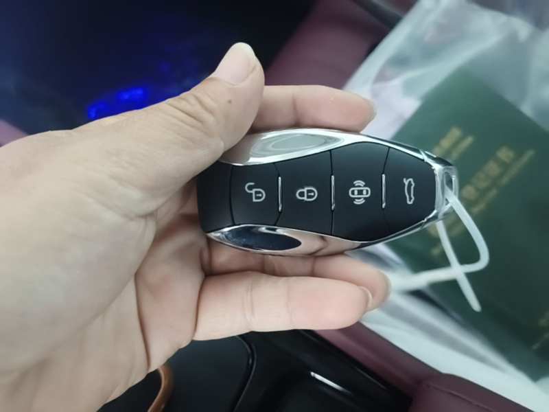 Used Hongqi H5 2025 2.0T Automatic Flag Edition – 500 000 Units Commemorative Version — 9