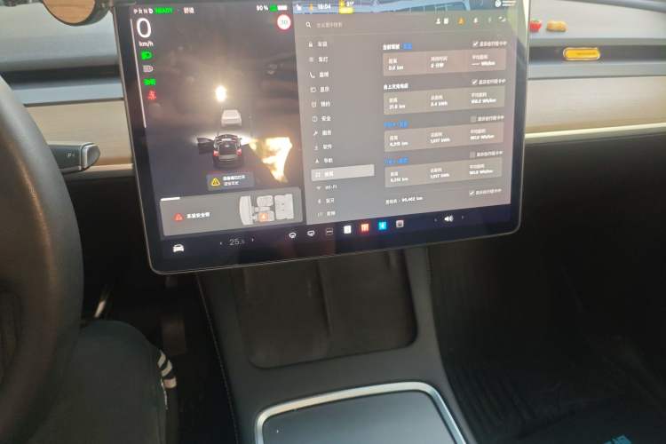 Used Tesla Model Y 2021 Standard Range Rear-Wheel Drive Version
