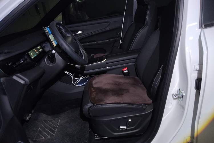 Used Livan 7 2024 450km Executive Version
