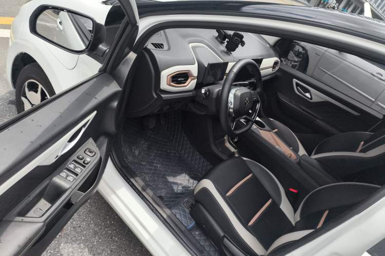 Used SOL E10X 2022 Flower Fairy Style Baby's Breath