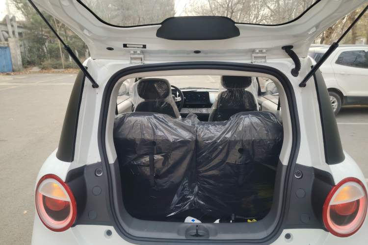 Used Qiyuan Lumin 2024 130km Qingyue Version
