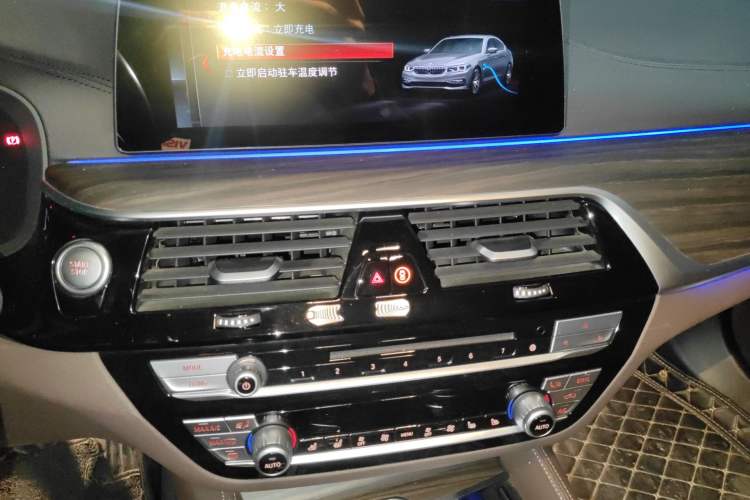 Used BMW 5 Series New Energy 2019 530Le Pioneer Edition Audio And AC Panel