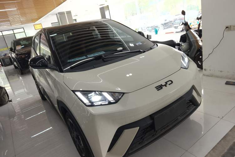 Used BYD Seagull 2025 305 km Free Version