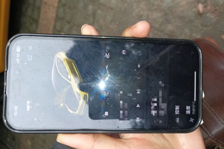 Used Tesla Model 3 2022 Rear-Wheel-Drive Version Vehicle Key