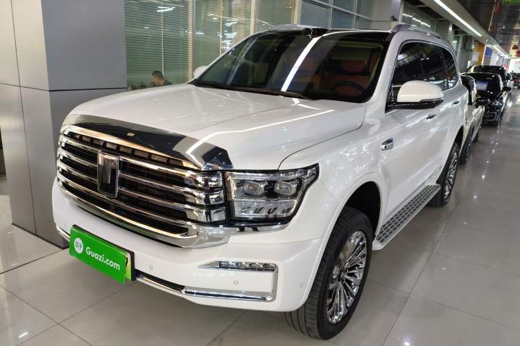 Used Tank 500 New Energy 2026 Model—Hi4-Z Smart Enjoyment Version