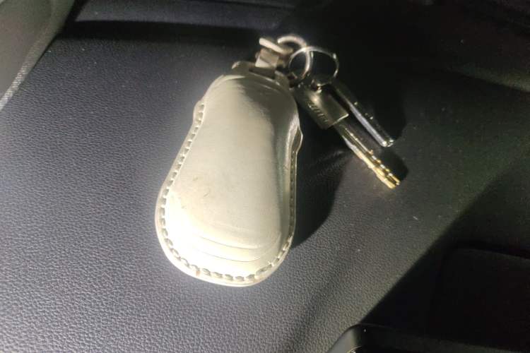 Used XPeng P5 2022 550E Vehicle Key