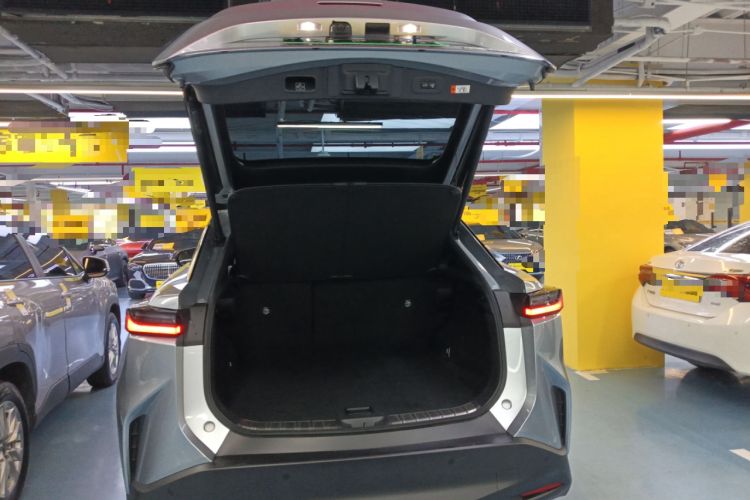 Used Lexus RZ 2023 450e All-Wheel Drive Luxury Edition