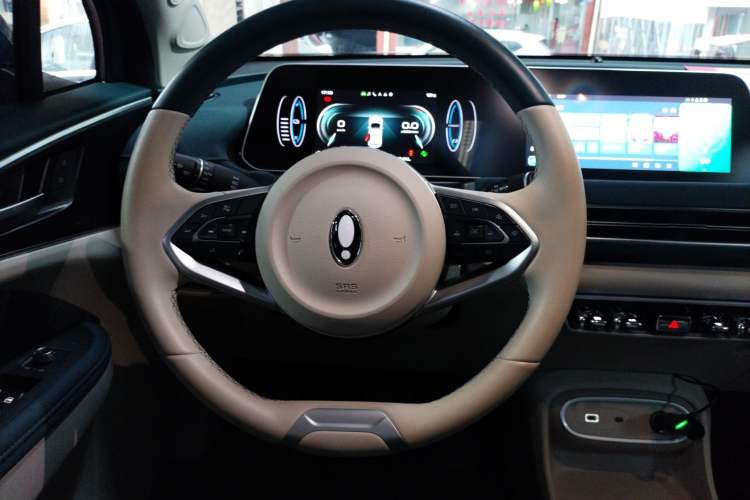 Used ORA Good Cat 2024 401 km Luxury Version