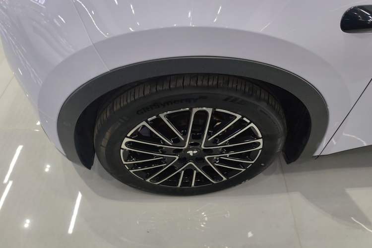 Used firefly 2025 Illuminated Edition
