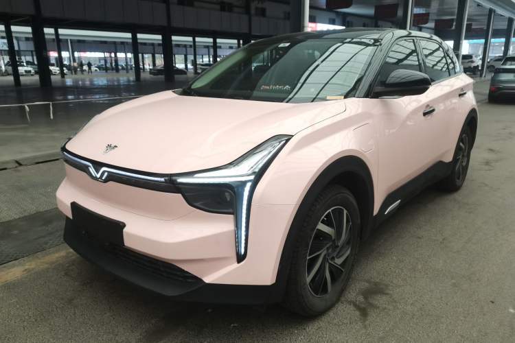 Used NETA U 2021 Pro 400 Industry Custom Edition