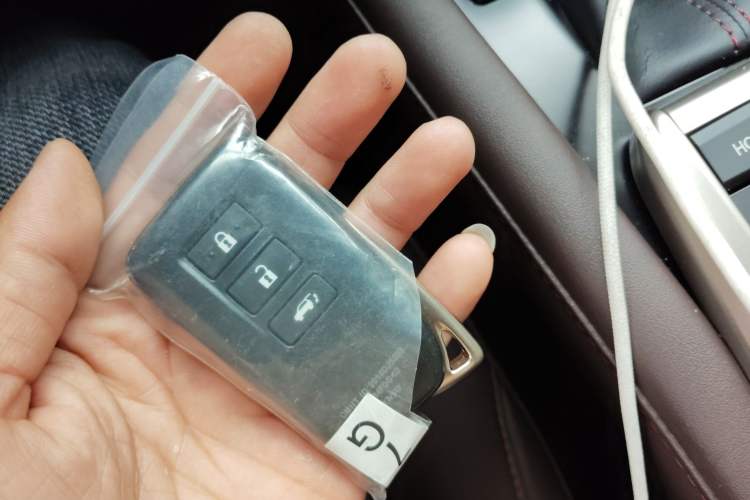 Used Lexus RX 2020 300 Two-Wheel Drive Comfort Edition China VI Standard
