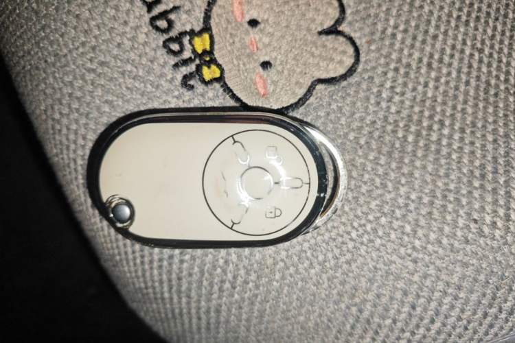 Used Bestune Pony 2025 222km Range Linglong Horse