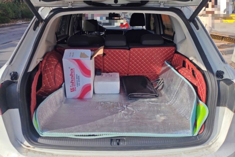 Used Volkswagen Tayron GTE Plug-in Hybrid 2020 1.4T Luxury Model Trunk