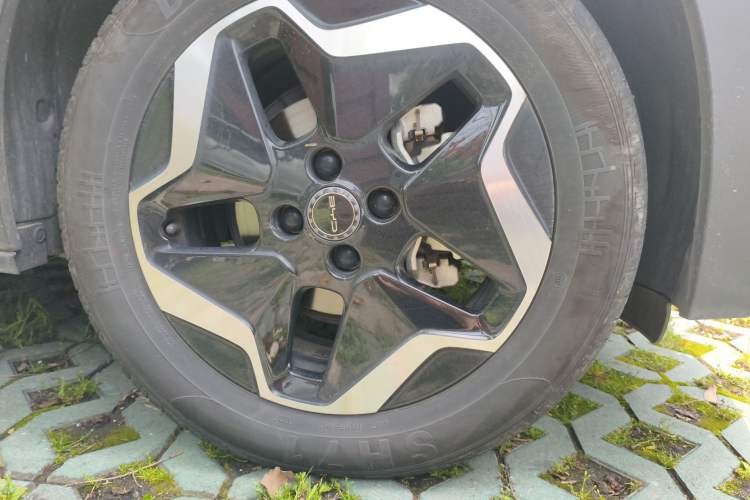 Used BYD Dolphin 2021 405 km Free Version