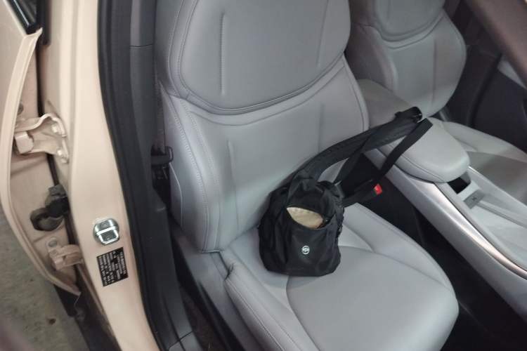 Used XPeng MONA M03 2024 515 Long-Range Right Front Seat