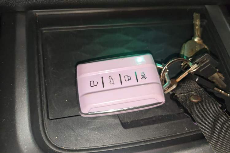 Used Tank 300 2021 City Edition 2.0T My Vision Model