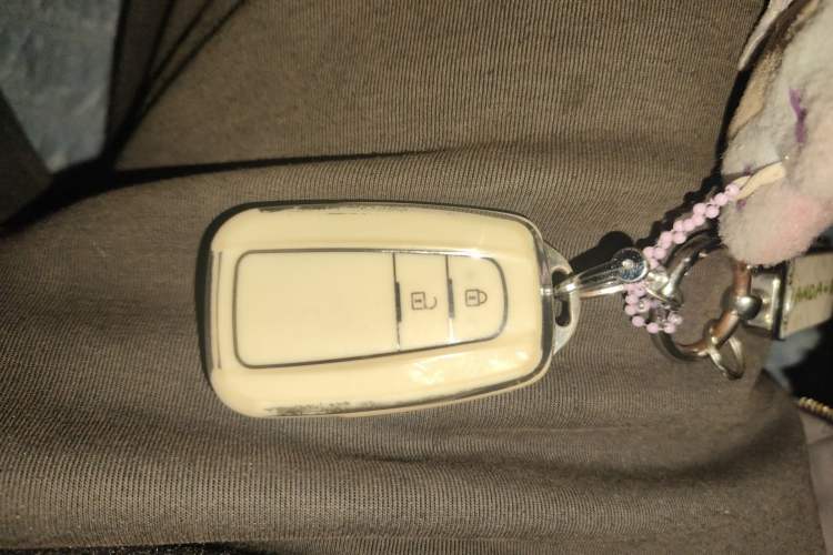 Used Haval LHERY 2021 GT Edition 1.5T Platinum Rabbit Vehicle Key