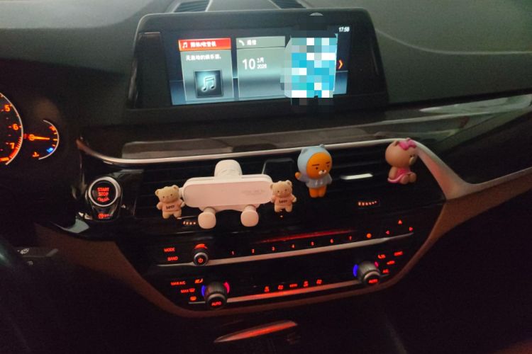 Used BMW 5 Series 2018 528Li Launch Special Edition