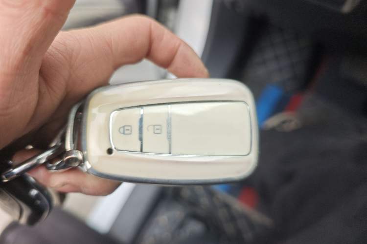 Used Toyota Wildlander 2023 2.0L CVT Two-Wheel Drive Luxury PLUS Edition
