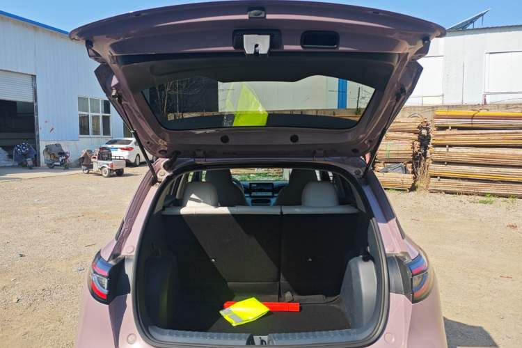 Used Geely Galaxy Geome 2025 310km Youth Edition