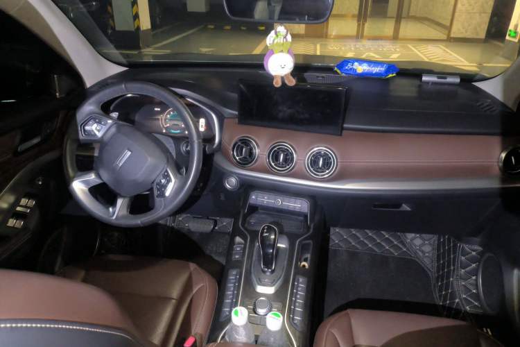 Used Wey VV6 2021 2.0T Two-Wheel Drive Smart Plus
