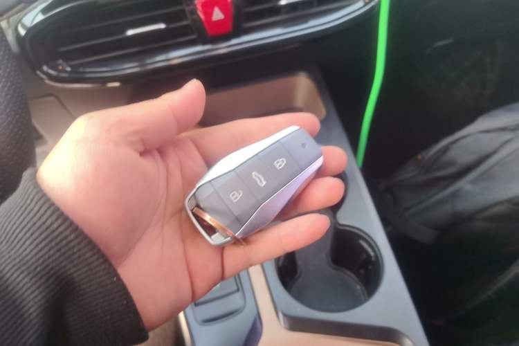 Used SOL E10X 2022 Flower Fairy Style Baby's Breath
