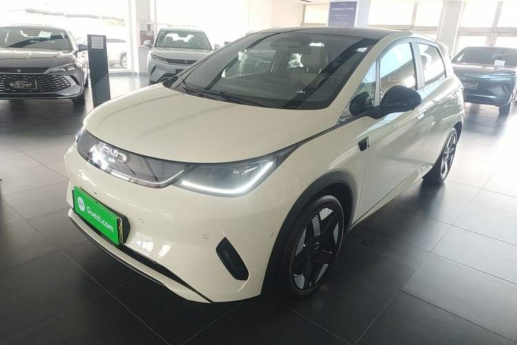 Used BYD Dolphin 2025 Intelligent Driving Version 520km Range Knight Edition