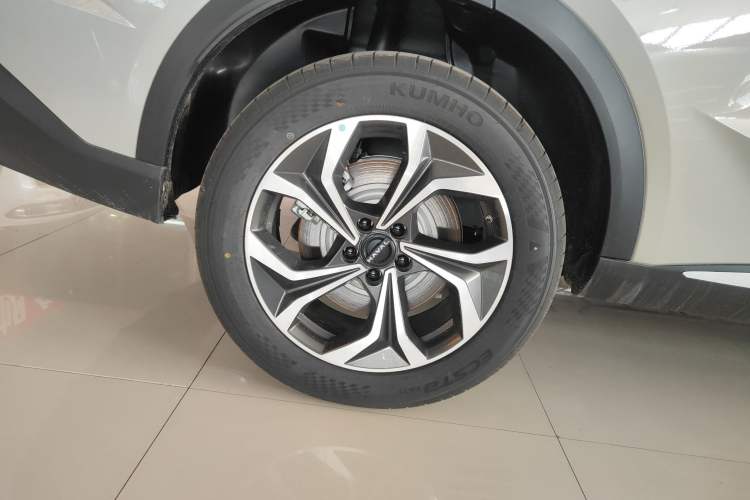 Used Haval Fierce Dragon Max 2025 Hi4 165 Plus Long-Range Version Exterior 5