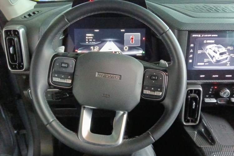 Used Haval DARGO 2021 2.0T DCT 4x4 Chinese Rural Dog Edition