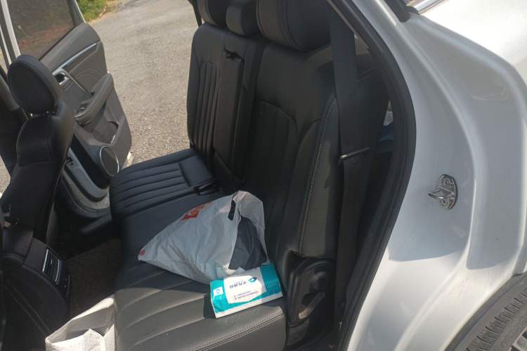 Used TRAUM SEEK 5 2018 1.5T Automatic Lingzhi Edition Left Rear Seat