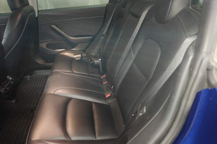 Used Tesla Model 3 2020 Standard Range Rear-Wheel Drive Upgraded Version