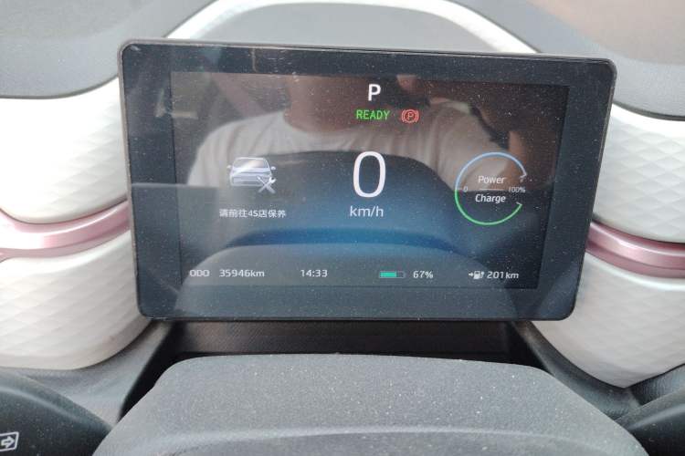 Used SOL E10X 2022 Flower Fairy Style Baby's Breath