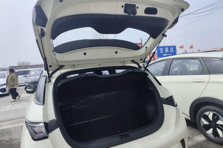 Used BYD Dolphin 2025 420km Free Edition