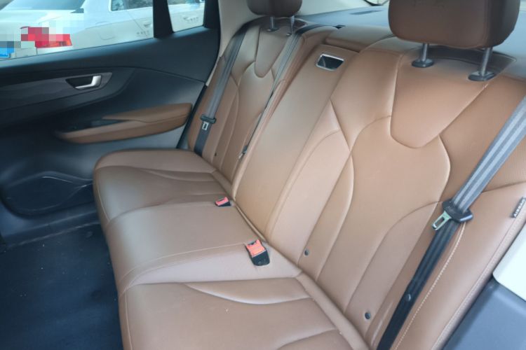 Used Hongqi E-QM5 2022 431 km Charge & Enjoy Edition Left Rear Seat