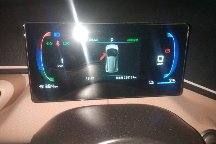 Used BYD Seagull 2023 Flying Edition