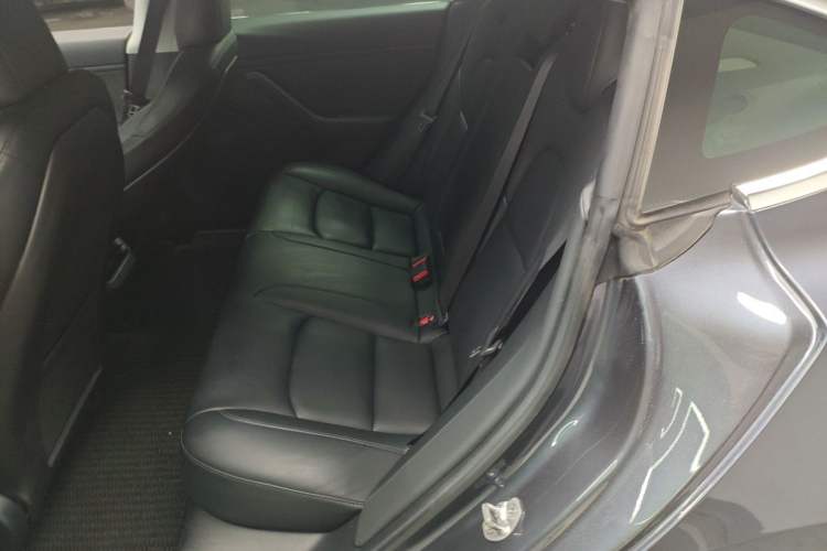 Used Tesla Model 3 2019 Long-Range Rear-Wheel-Drive Version Left Rear Seat